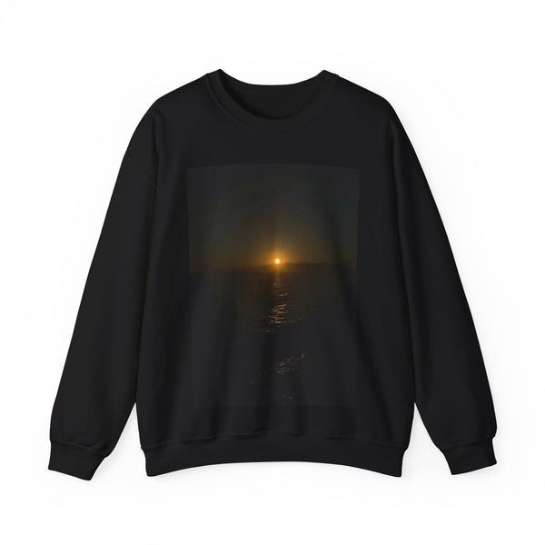 PH sweatshirt #3