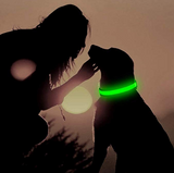 LED Dog Collar - Night Safety Collar