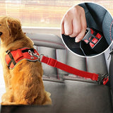 Dog Seat Belt For Your Best Friend