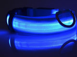 LED Dog Collar - Night Safety Collar