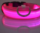 LED Dog Collar - Night Safety Collar