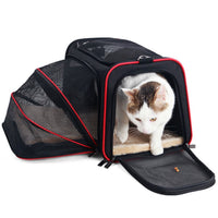 Expandable Small Pet Carrier