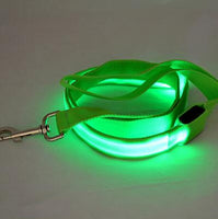 LED Dog Leash - Glows for Safety