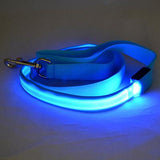 LED Dog Leash - Glows for Safety