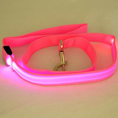 LED Dog Leash - Glows for Safety