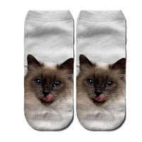 Adult Themed Naughty Kitty Socks!